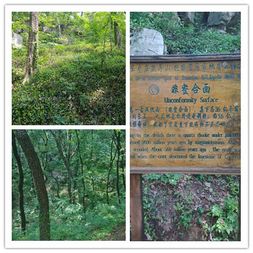 ������һ��